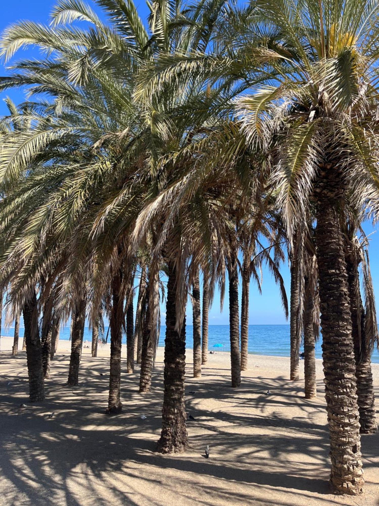Apartamento Azul Torremolinos Zewnętrze zdjęcie